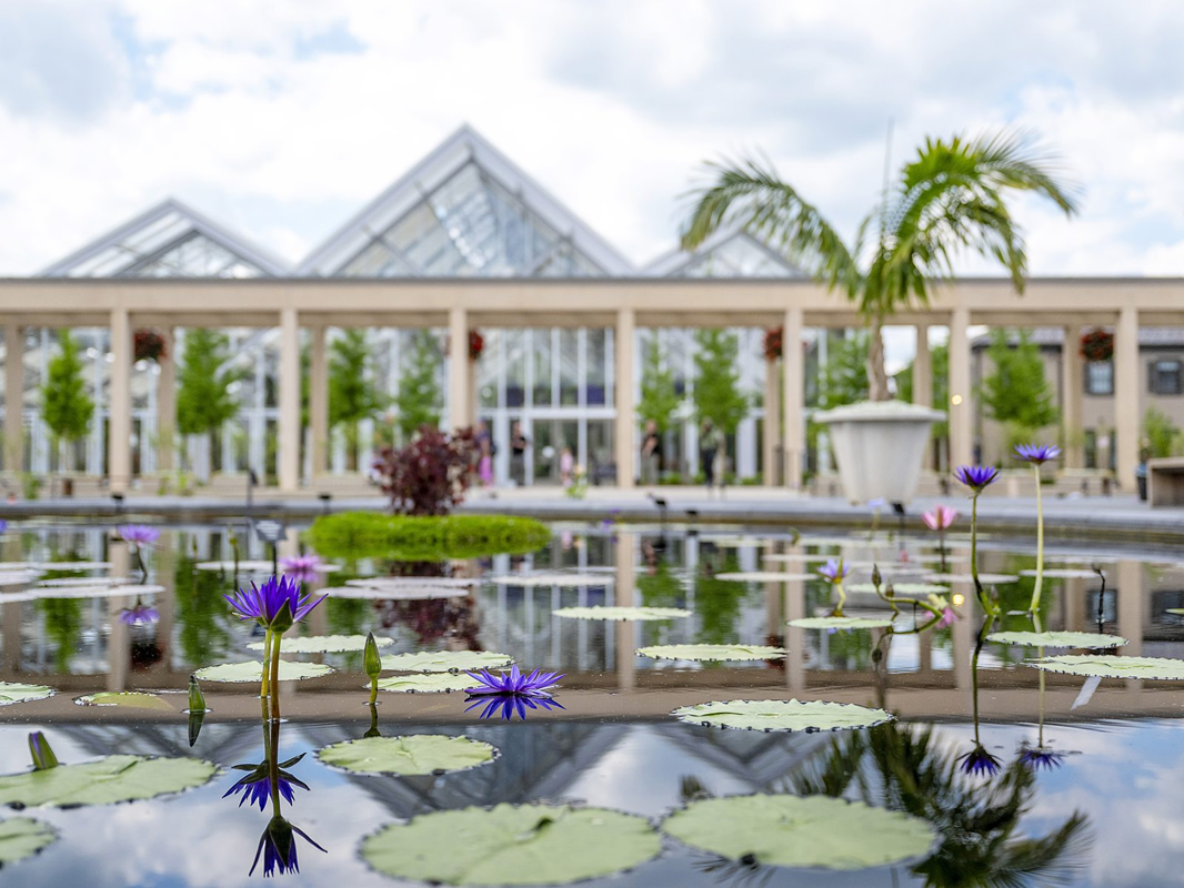 LongwoodGardens